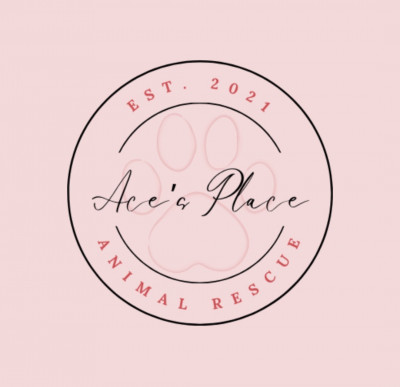 Ace’s Place All Dog Rescue Inc. - Pet Shelter and Rescue in North Richland Hills, Texas