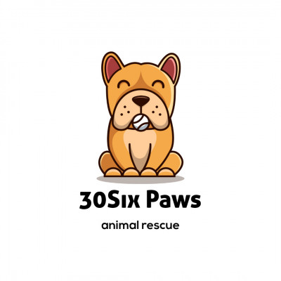 30SixPaws Animal Rescue - Pet Shelter and Rescue in Mississauga, Ontario