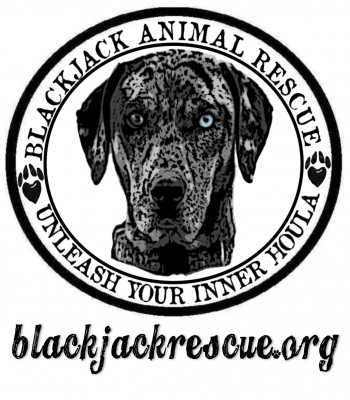Blackjack Animal Rescue - Pet Shelter and Rescue