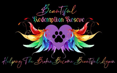 Beautiful Redemption Rescue - Pet Shelter and Rescue in Canal Winchester, Ohio