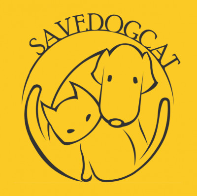 Savedogcat Org - Pet Shelter and Rescue in Toronto, Ontario