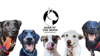 Bark At The Moon Animal Rescue - Pet Shelter and Rescue in London, Ontario