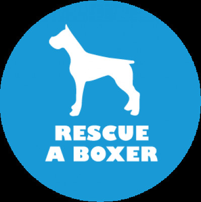 Rescue A Boxer - Pet Shelter and Rescue in Delta, British Columbia