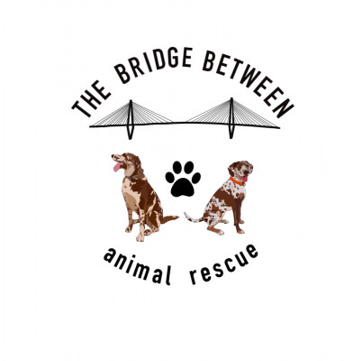 The Bridge Between Animal Rescue - Pet Shelter and Rescue in Charleston, South Carolina