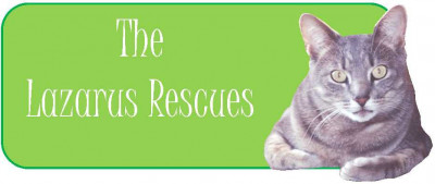 Lazarus Rescues - Pet Shelter and Rescue in Findlay, Ohio