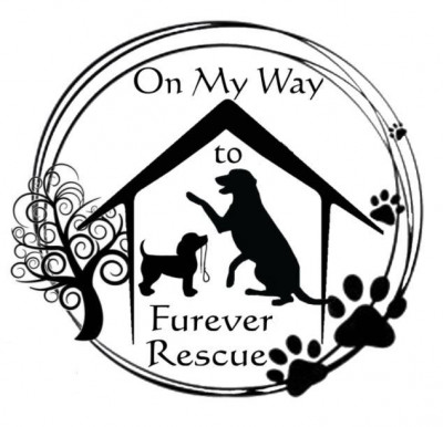 On My Way To Furever Rescue Inc. - Pet Shelter and Rescue in Florissant, Missouri