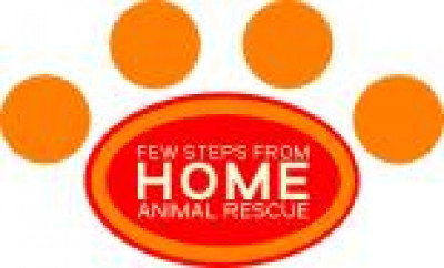 Few Steps From Home INC. - Pet Shelter and Rescue in Gladwin, Michigan