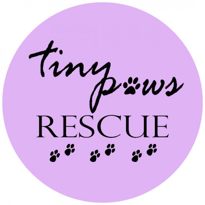 Tiny Paws Rescue - Pet Shelter and Rescue in Atlanta, Georgia