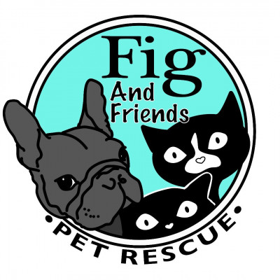 Fig And Friends Pet Rescue - Pet Shelter and Rescue in Grand Rapids, Michigan