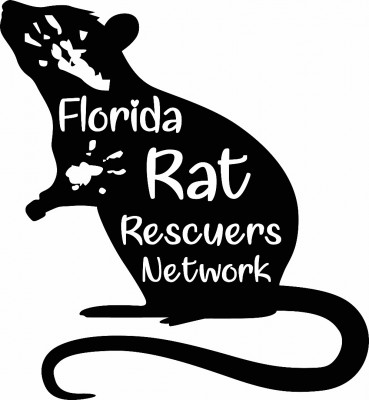 Florida Rat Rescuers Network - Pet Shelter and Rescue in Port St. Lucie, Florida