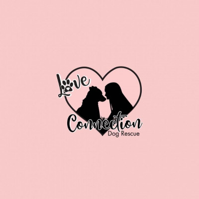 Love Connection Dog Rescue - Pet Shelter and Rescue in Gilbert, Arizona