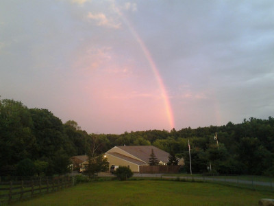 Doberman Rescue Unlimited, INC - Pet Shelter and Rescue in Sandown, New Hampshire