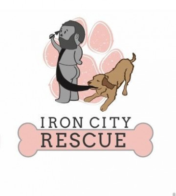 Iron City Rescue - Pet Shelter and Rescue in Trussville, Alabama