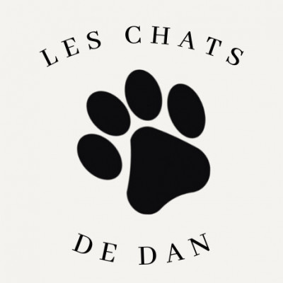 Les Chats De Dan - Pet Shelter and Rescue in Montreal, Quebec