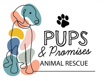 Pups & Promises Animal Rescue, Inc. - Pet Shelter and Rescue in Edmond, Oklahoma