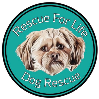 Rescue For Life Dog Rescue - Pet Shelter and Rescue in Merrill, Wisconsin