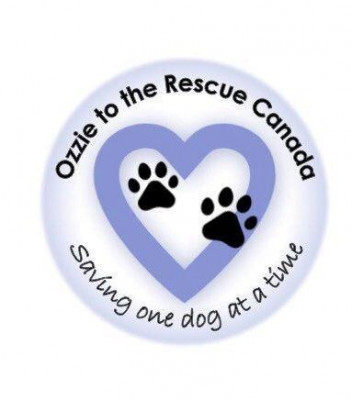 Ozzie To The Rescue Canada - Pet Shelter and Rescue in Welland, Ontario