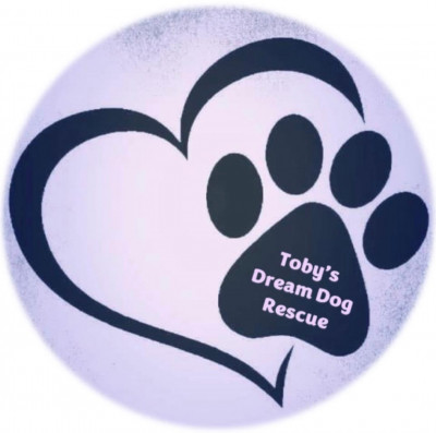 Toby’s Dream Rescue - Pet Shelter and Rescue in West Haven, Connecticut