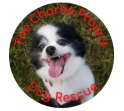 The Charlie Project Dog Rescue Corp - Pet Shelter and Rescue in Twin Lakes, Wisconsin