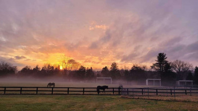Humane Society Of Fairfax County, Inc. - Pet Shelter and Rescue in Fairfax, Virginia