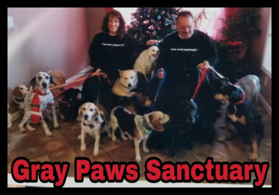 Gray Paws Sanctuary - Pet Shelter and Rescue in White Oak, Pennsylvania