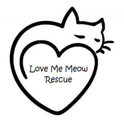 Love Me Meow Rescue - Pet Shelter and Rescue in Houston, Texas