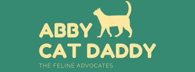 Abby Cat Daddy - Pet Shelter and Rescue in Abbotsford, British Columbia