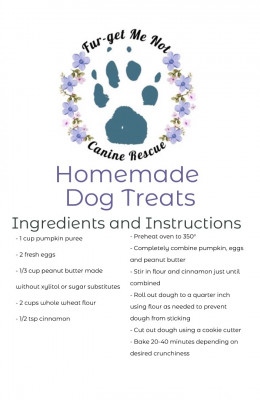 Fur-get Me Not Canine Rescue, Inc - Pet Shelter and Rescue in Albuquerque, New Mexico