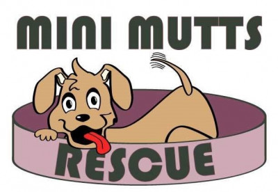 Mini Mutts Rescue - Pet Shelter and Rescue in North Olmsted, Ohio