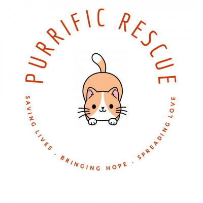 Purrific Rescue - Pet Shelter and Rescue in San Jose, California