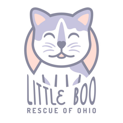 Little Boo Rescue Of Ohio - Pet Shelter and Rescue in Delaware, Ohio