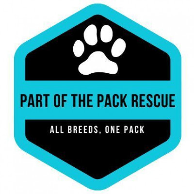 Part Of The Pack Rescue - Pet Shelter and Rescue in Raleigh, North Carolina