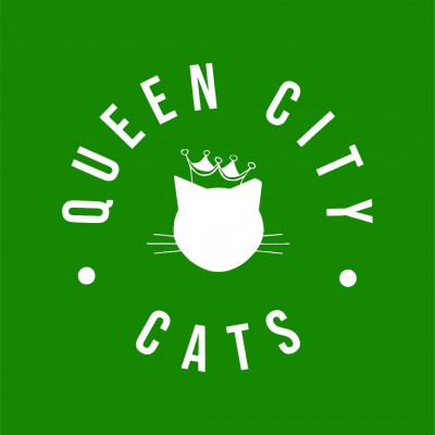 Queen City Cats - Pet Shelter and Rescue in Burlington, Vermont