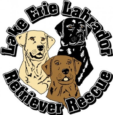 Lake Erie Labrador Retriever Rescue - Pet Shelter and Rescue in Medina, Ohio
