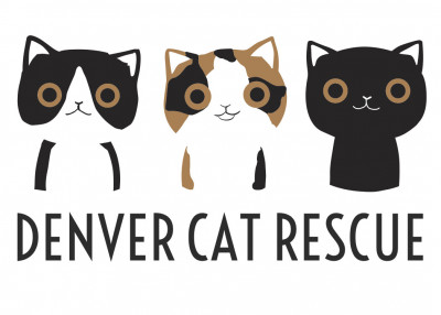 Denver Cat Rescue - Pet Shelter and Rescue in Denver, Colorado