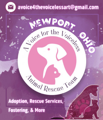 A Voice For The Voiceless Animal Rescue Team - Pet Shelter and Rescue in Newport, Ohio