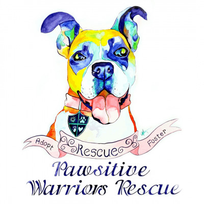 Pawsitive Warriors Rescue - Animal Shelter and Rescue in Huber Heights, Ohio