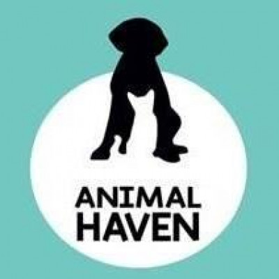 Logan County Animal Haven - Animal Shelter and Rescue in Plain City, Ohio