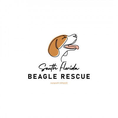 South Florida Beagle Rescue - Animal Shelter and Rescue in Miami, Florida
