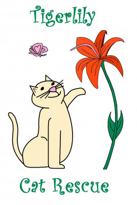 Tigerlily Cat Rescue - Pet Shelter and Rescue in Sterling Heights, Michigan
