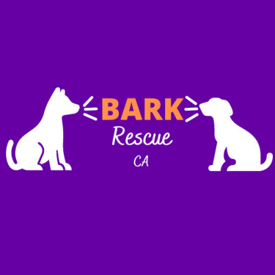 BARK Rescue CA - Animal Shelter and Rescue in Fremont, California