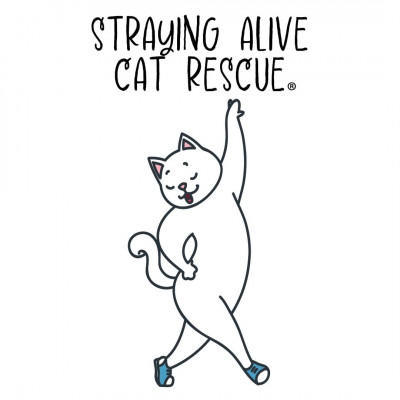Straying Alive Cat Rescue Inc - Animal Shelter and Rescue in Harrison Township, New Jersey