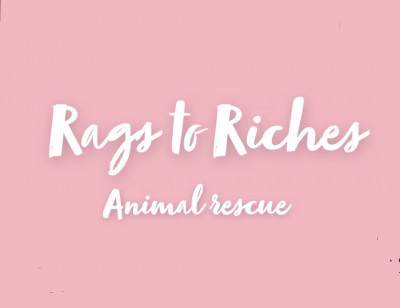 Rags To Riches Animal Rescue Inc - Animal Shelter and Rescue in Tampa, Florida