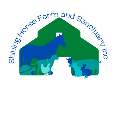 Shining Horse Farm And Sanctuary Inc - Animal Shelter and Rescue in West Palm Beach, Florida