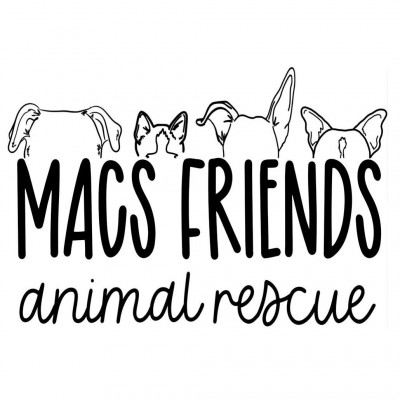 MACS Friends Animal Rescue Inc - Animal Shelter and Rescue in Auburn, Georgia