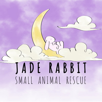 Jade Rabbit Small Animal Rescue - Animal Shelter and Rescue in Harrisburg, Oregon