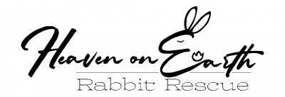 Heaven On Earth Rabbit Rescue - Animal Shelter and Rescue in Algood, Tennessee