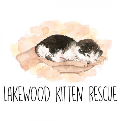 Lakewood Kitten Rescue - Animal Shelter and Rescue in Lakewood, New York