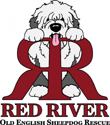 Red River Old English Sheepdog Rescue, Inc. - Animal Shelter and Rescue in Yukon, Oklahoma