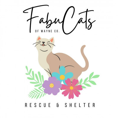 FabuCats Inc. - Animal Shelter and Rescue in Jesup, Georgia